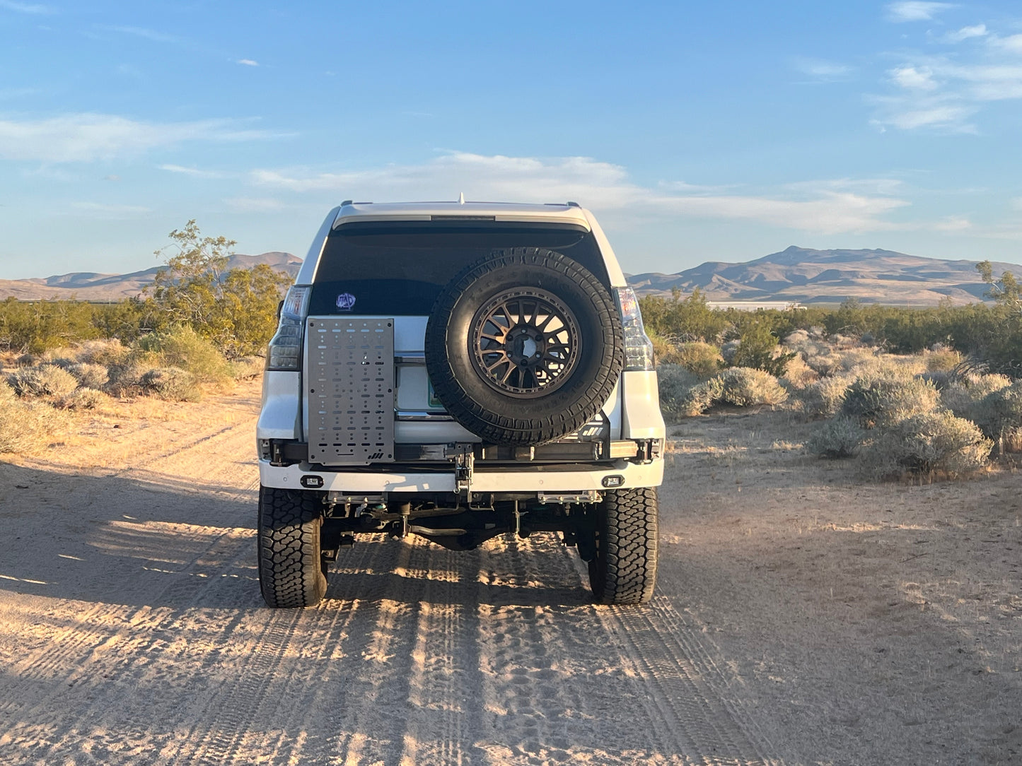 LEXUS GX460 Tire Swing out