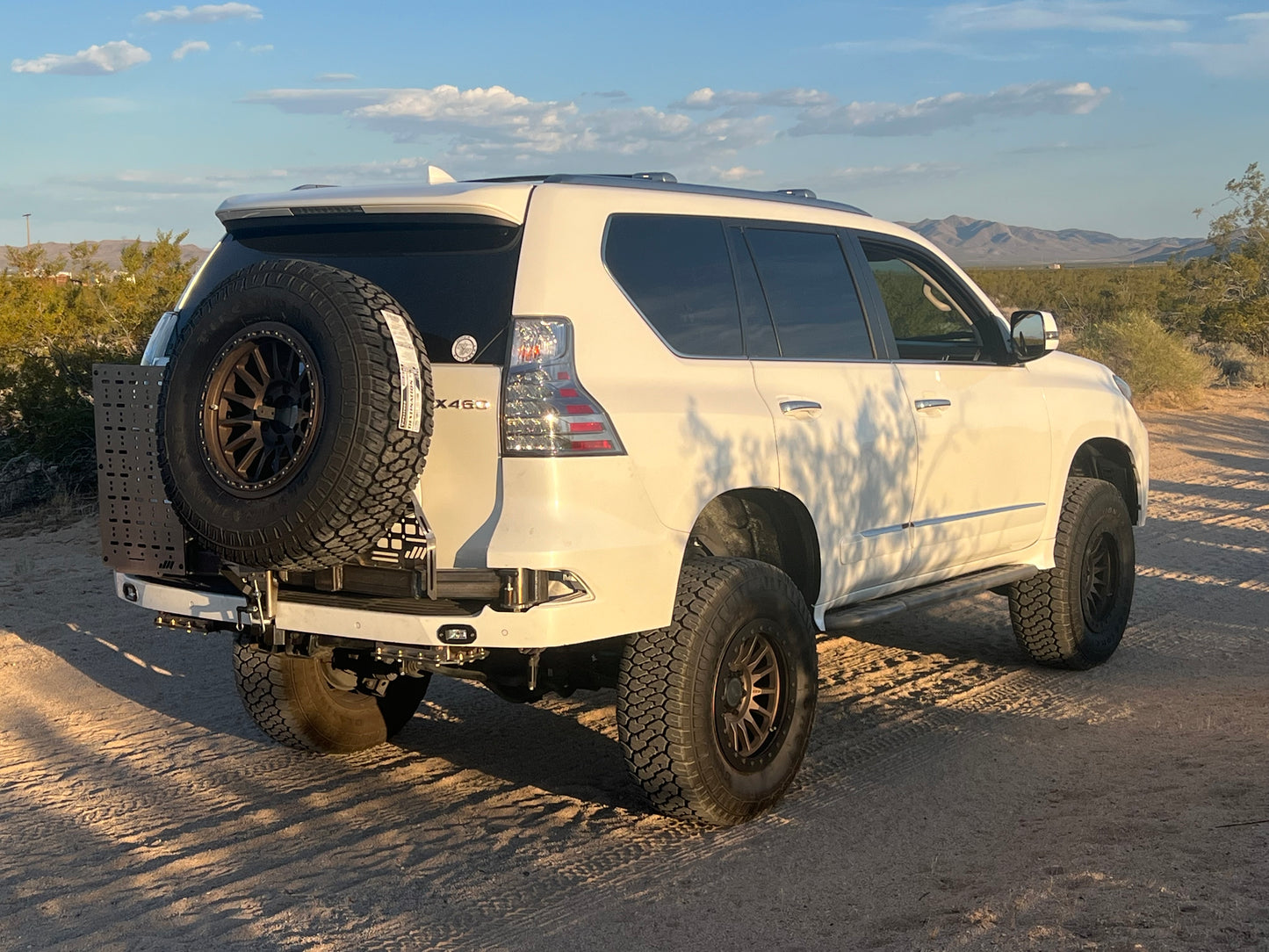 LEXUS GX460 Tire Swing out