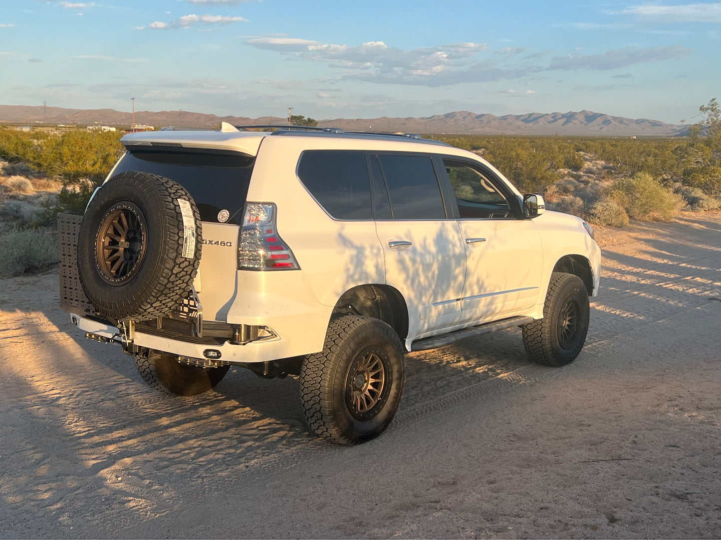 LEXUS GX460 Tire Swing out